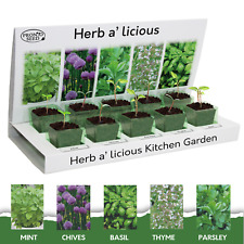 Herb seeds grow for sale  BARRY