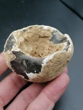 Rare artifact neanderthal d'occasion  Bonneville