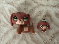 Lps authentic littlest for sale  USA