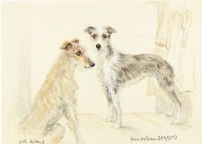 Lurchers print lurchers for sale  WARWICK