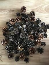 Pine cones different for sale  BUSHEY