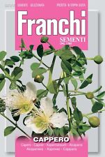 Franchi caper seed for sale  SAFFRON WALDEN