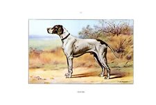 Hunting dog...pointer...1960 d'occasion  Saint-Cyprien