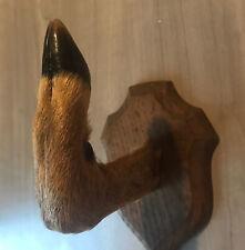 French deer hoof d'occasion  Crolles