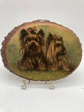 Yorkshire terriers silton for sale  Tacoma