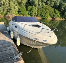 Motorboot sea ray gebraucht kaufen  Edenkoben