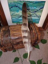 Goshawk feather for sale  Shipping to Ireland