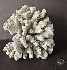 dead coral for sale  HESSLE
