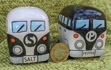 Camper van salt for sale  WELSHPOOL