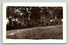 Rppc two horse for sale  USA