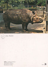 Rinoceronte indiano. giardino usato  Italia