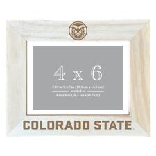 Colorado state rams for sale  USA
