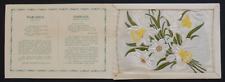 Narcissus daffodil kensitas for sale  NORTHAMPTON