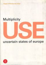 Multiplicity use uncertain usato  Italia