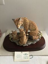 Leonardo fox cubs for sale  SHANKLIN