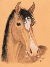 Zeichnung kunstdruck pferd gebraucht kaufen  Kißlegg