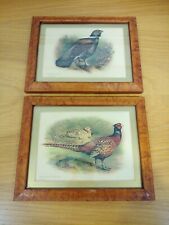 Two framed wildlife for sale  ESHER