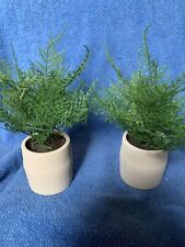 Small fake plant for sale  Sidney