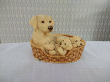 Labrador retriever puppy for sale  BRIDGEND