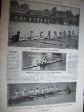 1901 rowing henley for sale  VERWOOD