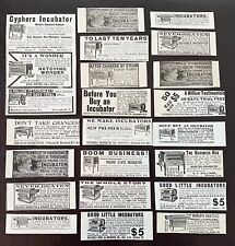 Antique1900s Chicken POULTRY INCUBATOR Vtg Primitive Farm Equipment Print Ad Lot for sale  Shipping to South Africa