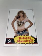 1984 wwe diva for sale  Colleyville