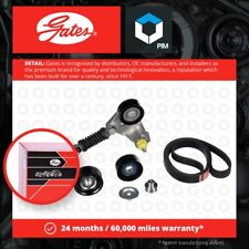 Drive belt kit for sale  UK