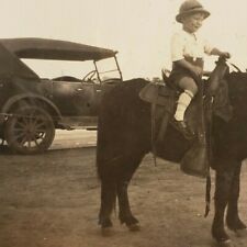 Usado, Ford Modelo T Coche Clásico Años 1920 Niño Pony Ride San Bernardino California Foto E60 segunda mano  Embacar hacia Argentina