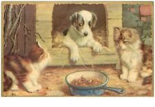 Chats. 23145.chatons chiot d'occasion  France