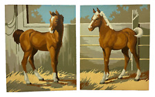 Paint number foal for sale  Festus
