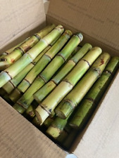 Green sugar cane for sale  Punta Gorda