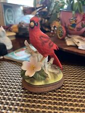 Vintage porcelain cardinal for sale  Goshen