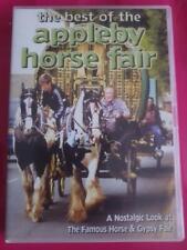 Best appleby horse for sale  UK