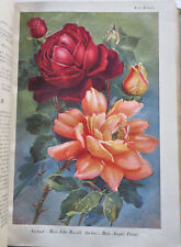 Botanical journal 1924 d'occasion  Expédié en Belgium