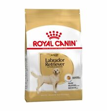 Royal canin labrador usato  Carate Brianza