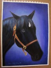 horse drawing black for sale  New York