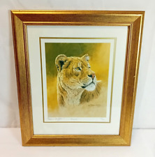 Stephen gayford lioness for sale  KIDDERMINSTER