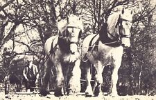 vintage plough for sale  Ireland