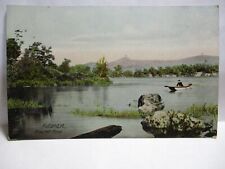 1900 postcard pine for sale  Johnstown
