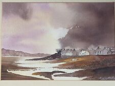 Original watercolour painting by D Hindle Approaching storm David Bellamy style for sale  Shipping to South Africa