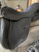 Albion legend dressage for sale  Kalamazoo