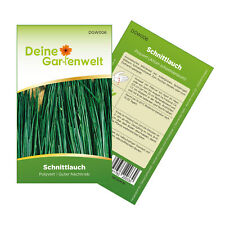 Schnittlauch medium leaf gebraucht kaufen  Pulheim