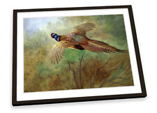 Archibald thorburn pheasant for sale  UK