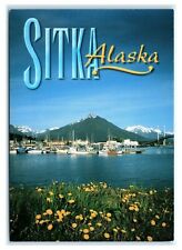 Postcard sitka alaska for sale  Saco