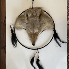 Taxidermy coyote head for sale  High Point