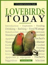 Lovebirds today complete for sale  Alpharetta