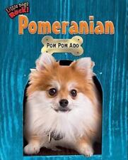 Pomeranian pom pom for sale  Aurora