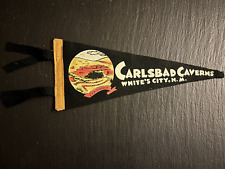 Vintage carlsbad caverns for sale  Milwaukee