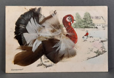 Postcard turkey bird for sale  ROMNEY MARSH