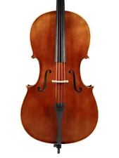 Rudolph 1014 violoncello usato  Pescara